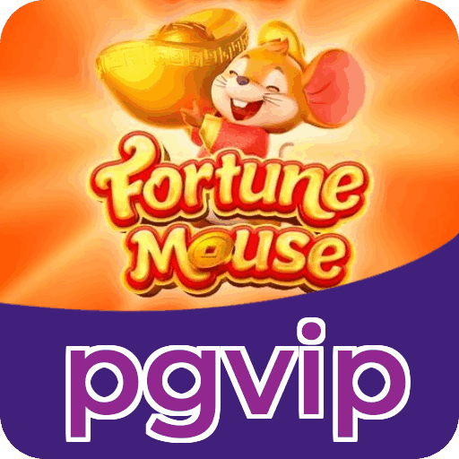 Métodos de pagamento aceitos na pgvip